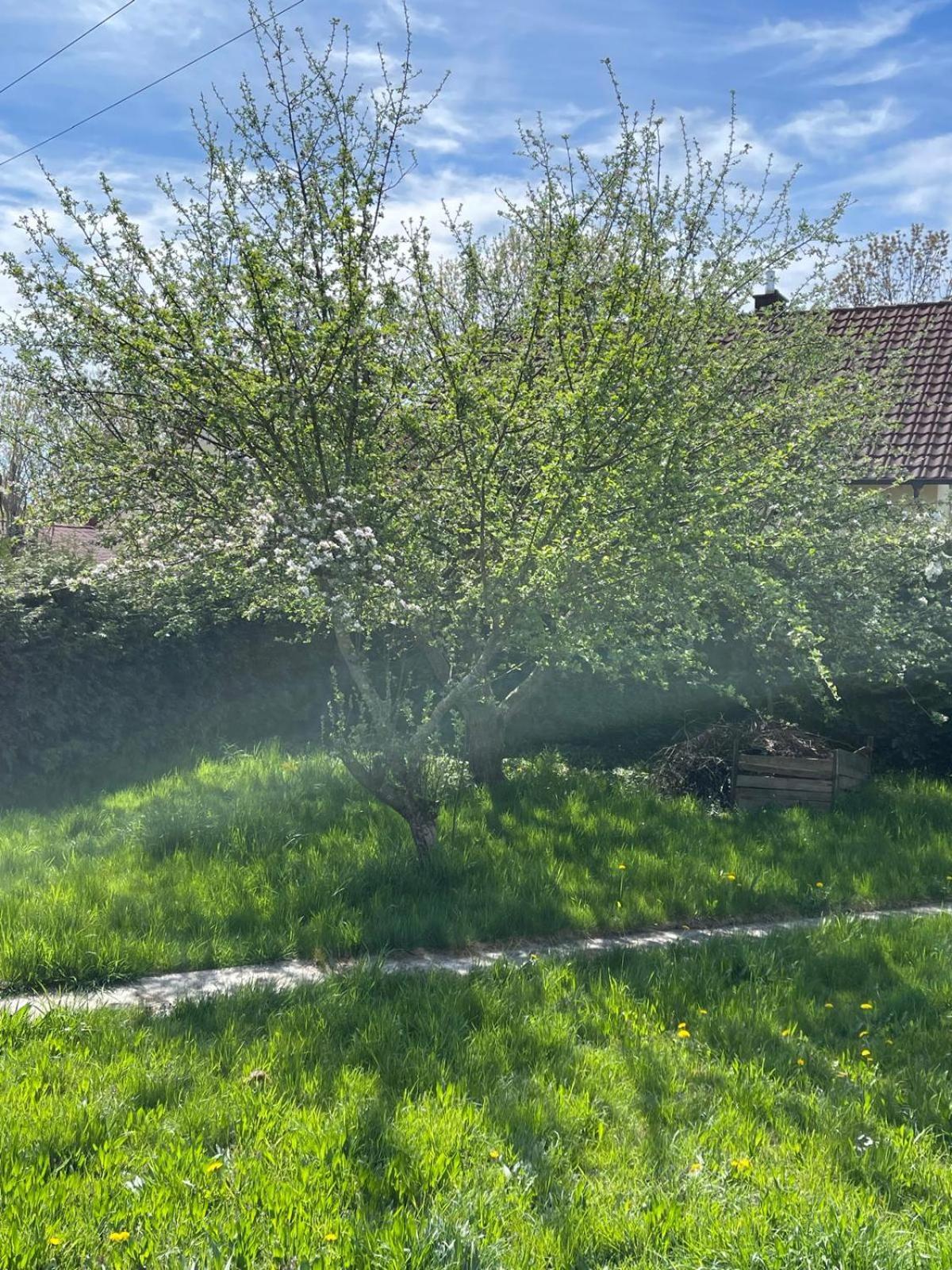 Bungalow In Ruhiger Siedlung Mit Stellplatz Landshut Exterior foto